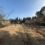 Satılır Torpaq, Şüvəlan, Xəzər rayonu 5