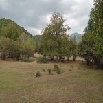 Satılır Torpaq Qəbələ 3