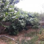 Satılır 7 otaqlı Həyət evi/villa, Novxanı, Abşeron rayonu 14