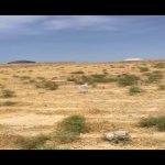 Satılır Torpaq, Saray, Abşeron rayonu 1