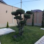 Satılır 4 otaqlı Bağ evi, Şüvəlan, Xəzər rayonu 10