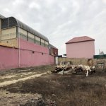 Satılır 5 otaqlı Həyət evi/villa, Hökməli, Abşeron rayonu 31