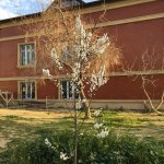 Аренда 4 комнат Дача, пос. Говсан, Сураханы район 5