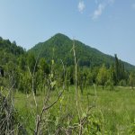 Satılır Torpaq Quba 1