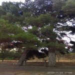 Satılır 1 otaqlı Bağ evi, Mərdəkan, Xəzər rayonu 13