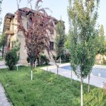 Kirayə (günlük) 8 otaqlı Həyət evi/villa Qəbələ 21