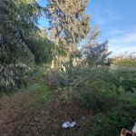 Satılır Torpaq, Mərdəkan, Xəzər rayonu 5