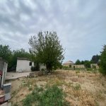 Satılır Torpaq, Novxanı, Abşeron rayonu 8