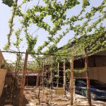 Satılır 4 otaqlı Həyət evi/villa, Masazır, Abşeron rayonu 2