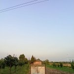 Satılır Obyekt Salyan 9