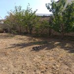 Kirayə (aylıq) 4 otaqlı Həyət evi/villa, Zabrat qəs., Sabunçu rayonu 7