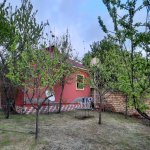 Kirayə (aylıq) 3 otaqlı Həyət evi/villa Qəbələ 11