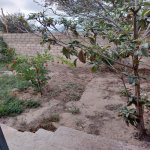Satılır 4 otaqlı Həyət evi/villa, Saray, Abşeron rayonu 7