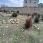 Satılır Torpaq, Saray, Abşeron rayonu 7