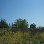 Satılır Torpaq, Maştağa qəs., Sabunçu rayonu 4