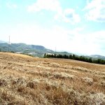 Satılır Torpaq İsmayıllı 14