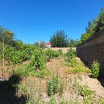 Satılır Torpaq, Novxanı, Abşeron rayonu 9