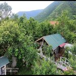 Kirayə (günlük) 3 otaqlı Həyət evi/villa Qax 3