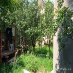 Kirayə (aylıq) 4 otaqlı Həyət evi/villa, Badamdar qəs., Səbail rayonu 1