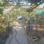 Satılır 4 otaqlı Həyət evi/villa, Xocaəsən metrosu, Sulutəpə qəs., Binəqədi rayonu 22