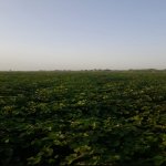 Продажа Участок Бярдя 3