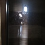 Satılır 6 otaqlı Həyət evi/villa Xırdalan 9