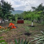 Kirayə (günlük) 3 otaqlı Həyət evi/villa Şəki 10