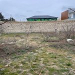 Satılır Torpaq, Pirşağı qəs., Sabunçu rayonu 3