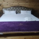 Kirayə (günlük) 3 otaqlı Həyət evi/villa Qəbələ 11