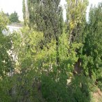 Satılır 4 otaqlı Bağ evi, Novxanı, Abşeron rayonu 7