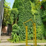 Kirayə (günlük) 6 otaqlı Həyət evi/villa İsmayıllı 21