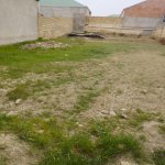 Satılır Torpaq, Qobu, Abşeron rayonu 2