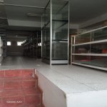 Аренда Объект, м. Сахил метро, Насими район 12