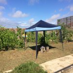 Satılır 6 otaqlı Bağ evi, Nardaran qəs., Sea Breeze, Sabunçu rayonu 1