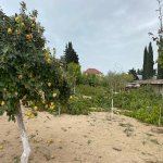 Продажа Участок, Мярдякан, Хязяр район 13
