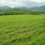 Satılır Torpaq İsmayıllı 7