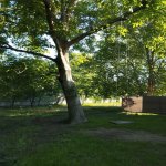 Kirayə (günlük) 3 otaqlı Həyət evi/villa Qəbələ 12