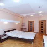Kirayə (aylıq) 2 otaqlı Yeni Tikili, Nəsimi rayonu 8