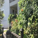 Satılır 6 otaqlı Bağ evi, Novxanı, Abşeron rayonu 14