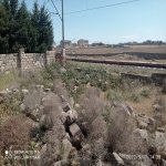 Satılır Torpaq Xırdalan 2