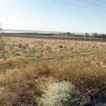 Продажа Участок, Новханы, Абшерон район 6