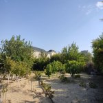 Satılır Torpaq, Novxanı, Abşeron rayonu 15