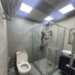Kirayə (aylıq) 2 otaqlı Köhnə Tikili, Nizami metrosu, Hyatt Regency, Yasamal rayonu 10