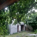Kirayə (günlük) 3 otaqlı Həyət evi/villa Qəbələ 26