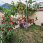 Kirayə (günlük) 3 otaqlı Həyət evi/villa Qəbələ 2