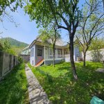 Kirayə (günlük) 3 otaqlı Həyət evi/villa Qəbələ 1