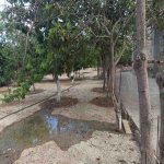 Satılır 10 otaqlı Həyət evi/villa, Novxanı, Abşeron rayonu 12