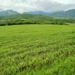 Продажа Участок Исмаиллы 7