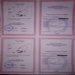 Satılır Torpaq Qəbələ 5