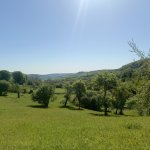 Satılır Torpaq Quba 11